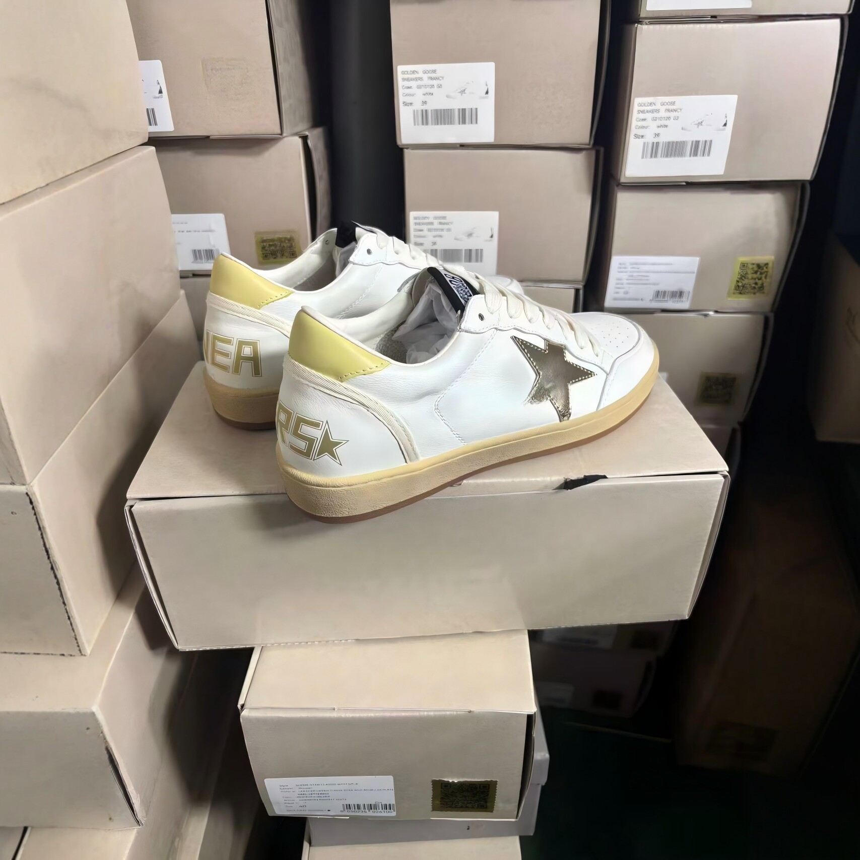 Golden goose