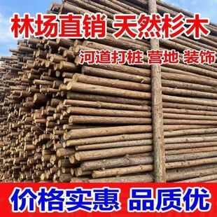 ���àI�����އ��ژ��Aľ����ӵ������g�����ˈ@���ژ��Aľɼľ¶
