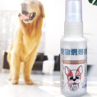Pet Inducer Dog Positioning Defecation Training Toilet Liquid Pet Supplies Fixed Training Defecation Agent 30ml Vamat