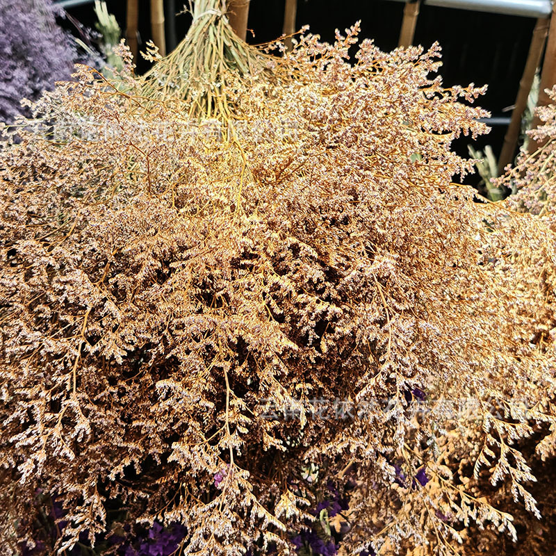 微信图片_20250404164854