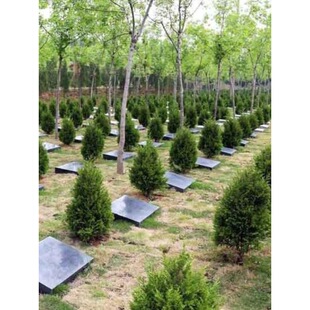 Ĺ�������������ɘ����Ĺ�������Ȱؙu�ذؘ���u�������ɰؘ�