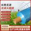PE Big films watermelon protect Wu Dimo heat preservation ageing waterproof Blow Film blue Plastic sheeting