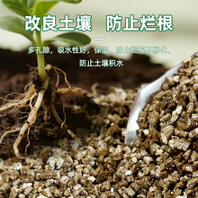 ✅蛭石3-6扦插育苗基质多肉种植花卉颗粒孵化宠物膨胀园艺蛭