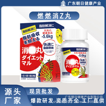 �ձ�SAUSANDOȼȼ��Z������z��Ȼ�����������Ʊڵ��ז|�ρ��F؛