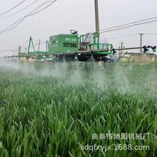 ʽ߼ܴș܇22R͇UFCС׳x{ʽș܇