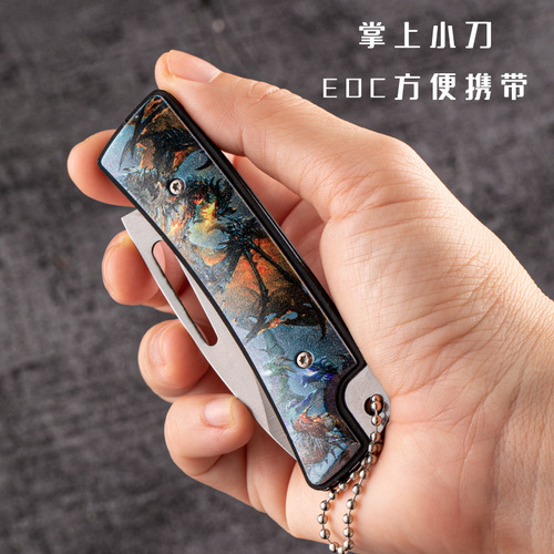 Factory Outdoor High Hardness Small Knife Folding Mini Pocket Portable Personal Fruit Knife Sharp Key Knife