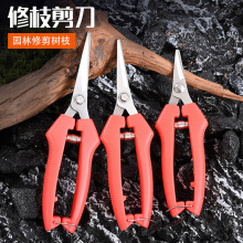 厂家直销园林修枝剪采果剪刀修花稀果摘果剪葡萄剪水果蔬 疏果剪
