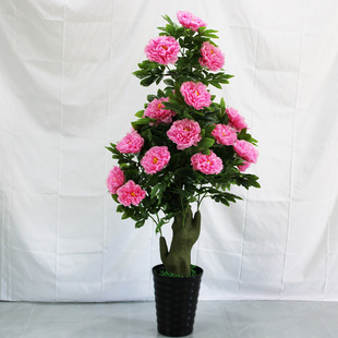 ���Fĵ�����滨��仨�ٻ����;Gֲ�͏d��������҃���[�Ż�����