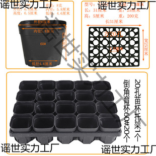 �傀�b�м��бP�I�B�����籭�����������бP�����m���DѨ�P�����