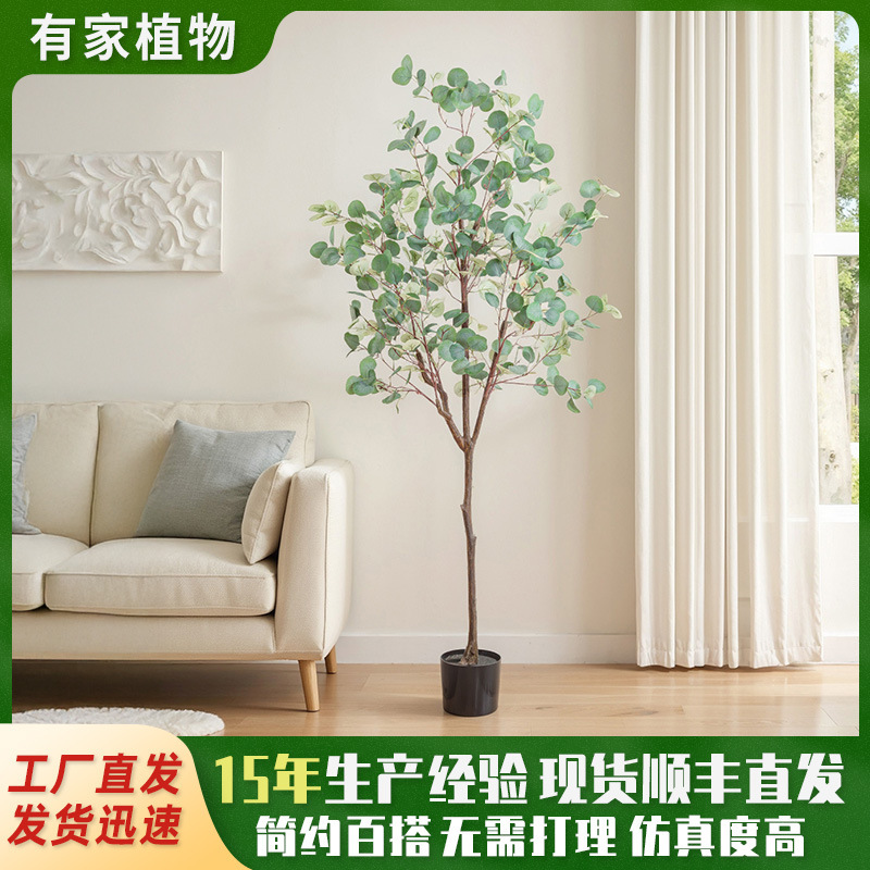 Simulated Green Plants, High-End Eucalyptus Potted Plants, Home Interior Decoration, Large Floor-Standing Artificial Trees, Money Trees Plants Simulated Green Plants, High-End Eucalyptus Potted Plants, Home Interior Decoration, Large Floor-Standing Artificial Trees, Money Trees Plants