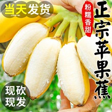 �O���������㽶5�����rˮ������������Ȼ��С�׽��Ž����]�۽�9��