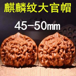 45mm-50mm��������ְ���Ұ������y��ñ���¾��֌�