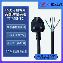 Ӣ���Դ��ӢҎ���^����оUK���lTUV�J�CEV��늘����ƃ���NTC�羳