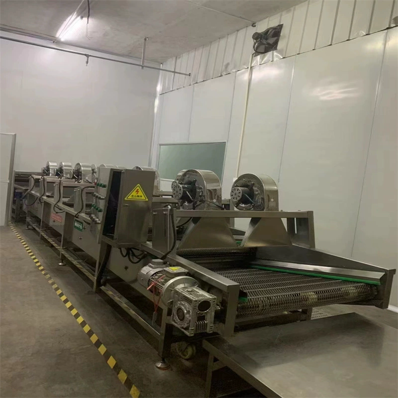 Переработка фруктов и овощей Оборудование для переработки подержанная зеленая линия пузырьковая мойка машина пастеризованная машина