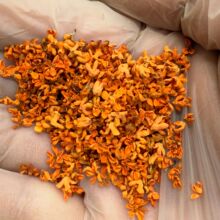 �V������2025�S��ֱ�N����𻨸ɿ�ʳ�ü��𻨲���ϼt��t�����~