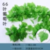 66 leaf standing grape leaves (2 bags of 2)