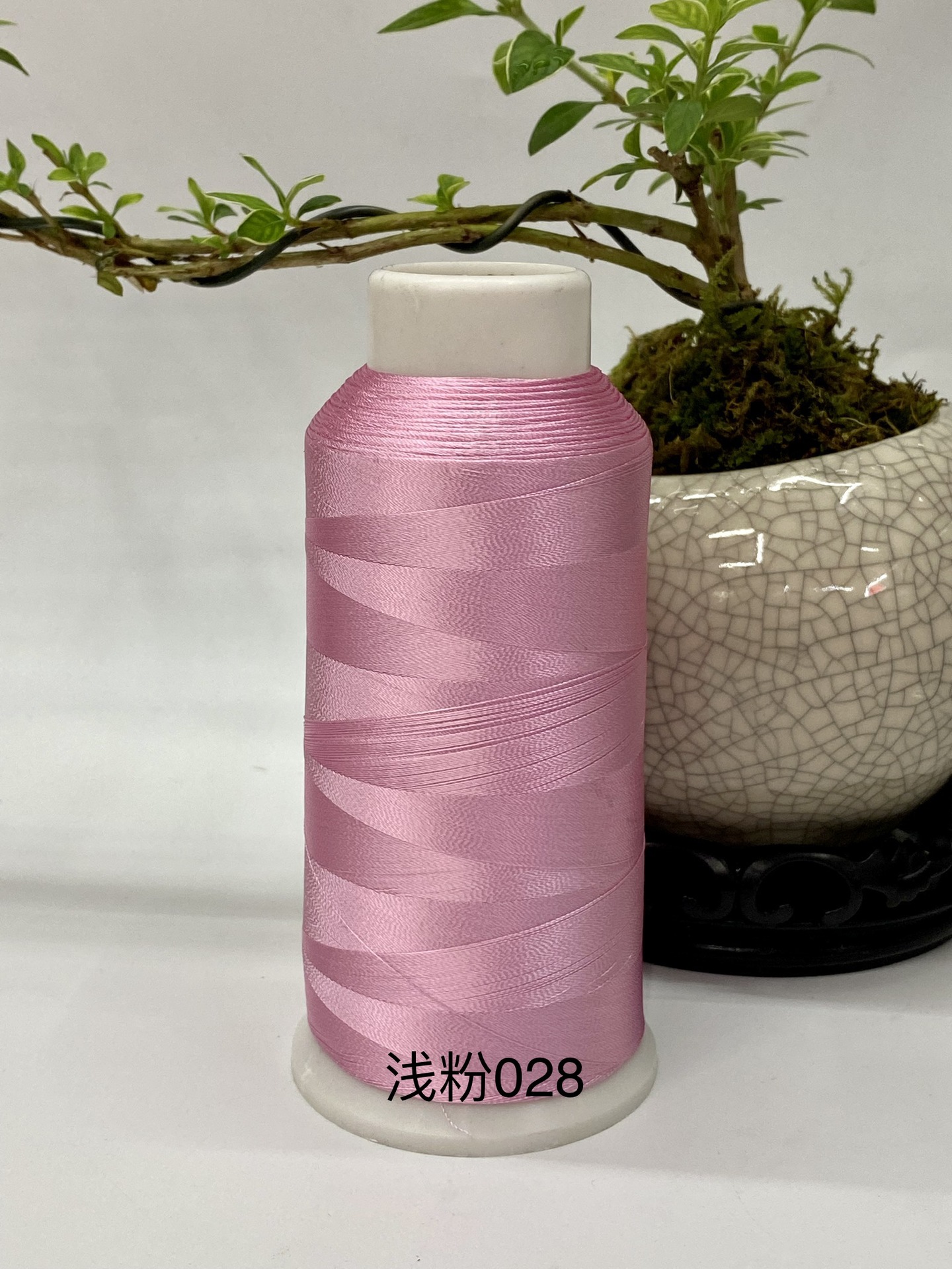 라이트 핑크 028