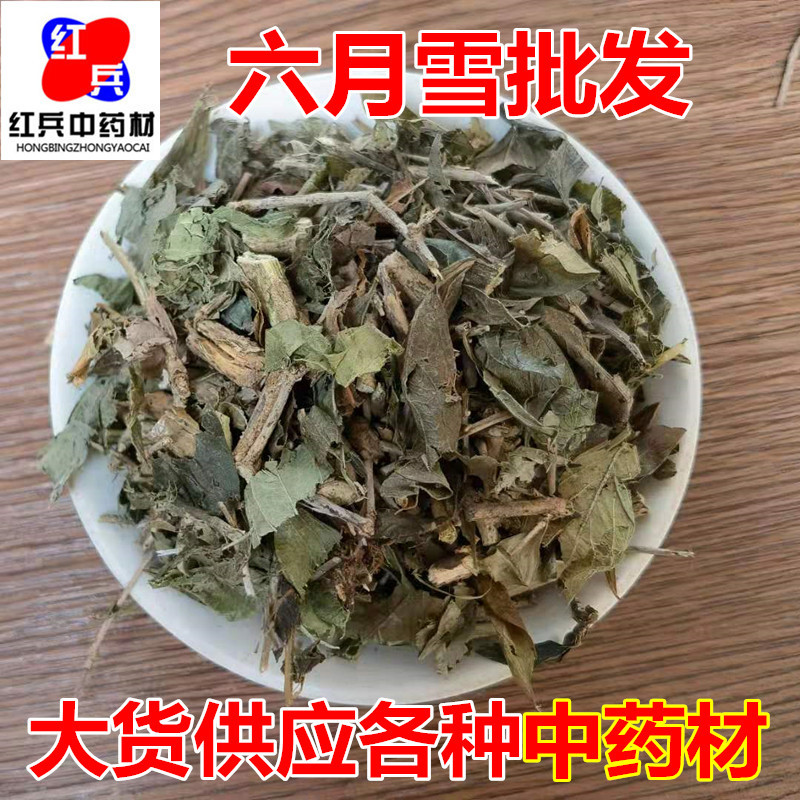 Dried June Snow Herb Liu Yue Xue 满天星 Whole Dried Herb for Traditional Decoctions Bulk Wholesale overview
