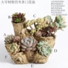 Large tree root imitation wood multi-port flowerpot—F26