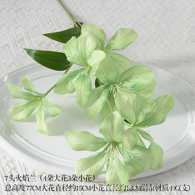 7 flames orchid green