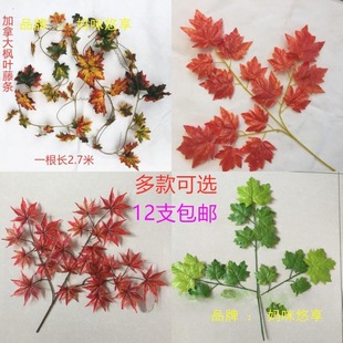 �t���~�@�ֹ����b���ͩ���~�ә����y���~�＾��֦��ɽ���~