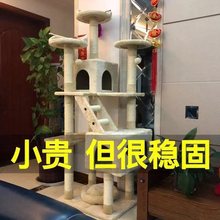 【150.4元抢198件，抢完恢复160元】猫爬架猫窝猫树一体大型四季