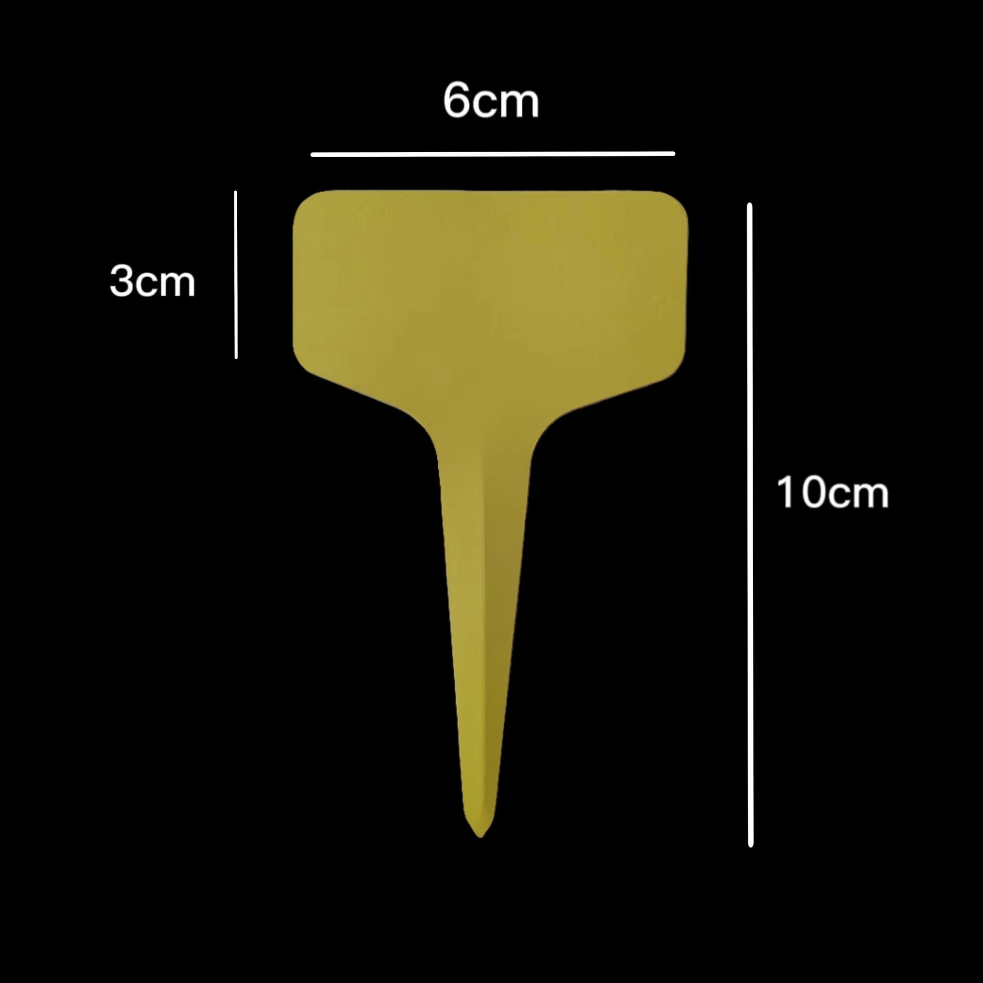 微信图片_20240725144820