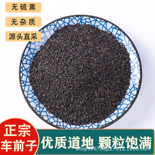 ܇ǰ����ș��500g�˟o��Ұ��܇ǰ�����l�}��܇ǰ�ӷ���ˮ�ݲ�