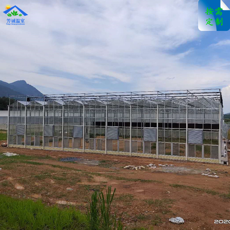 供应 广东厂家热镀锌骨架大棚 智能玻璃温室活动遮阳水帘风机降温
