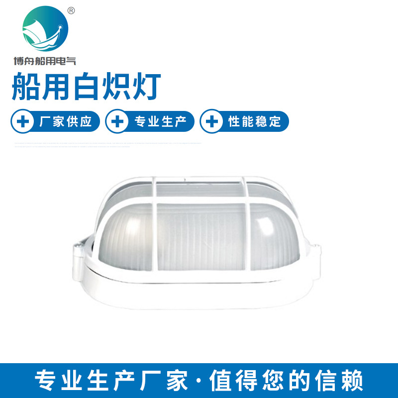 CCD12 船用白炽灯 船用防雨水舱顶灯 户外防水60W照明灯具