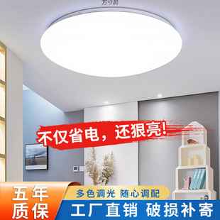 Led Ceiling Lamp Living Room Lamp Round Bedroom Lamp Simple Modern Dining Room Lamp Balcony Corridor Study Lamp Factory