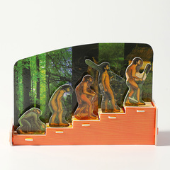 科技小製作  人類起源 人類進化史 生物科學實驗 3D創意拼圖 實驗