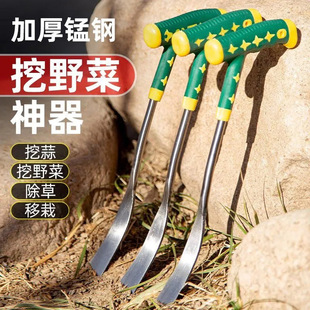 ��Ұ����������С�P���ڲ˷N�ˈ@ˇ�������������j���۶����F�P