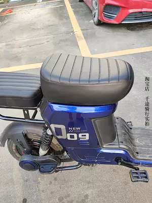 Shenyuan 009 Electric Vehicle Accessories: Electric car cushion
