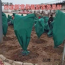 植物防寒保暖罩果树防寒布保温布防冻罩树罩加厚抗冻结实过冬越冬