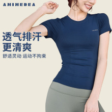 AMI MEDEA运动短袖紧身跑步无缝健身服T恤短款纯色瑜伽服女上衣