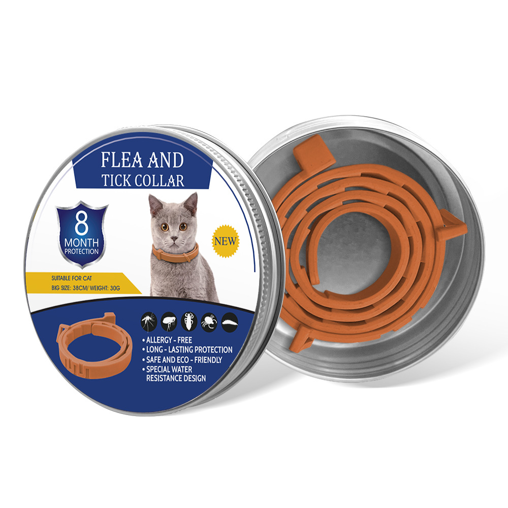 오렌지 고양이 디자인 선물 세트