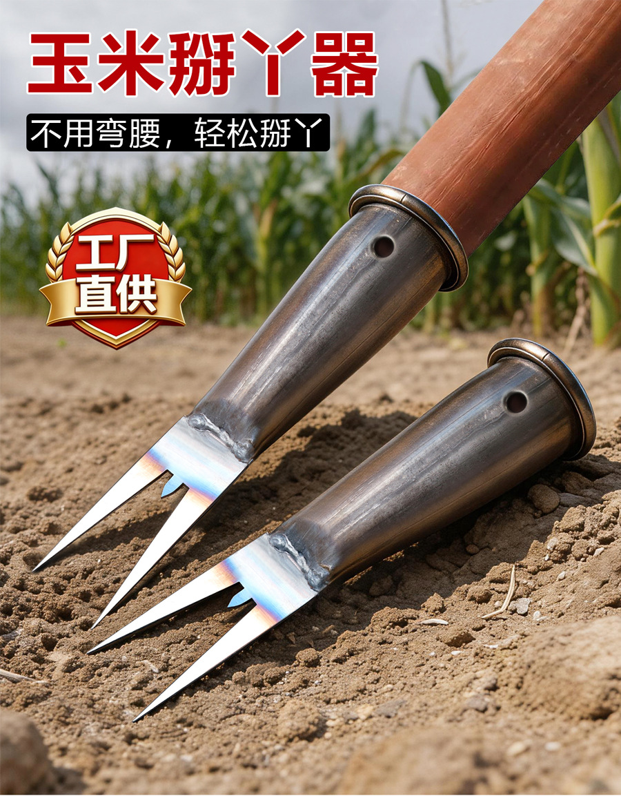 未标题-1_01.jpg