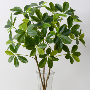 ��������ľ����ͩ�����~���_ľ�@�ֹ����b���Gɫ���~������