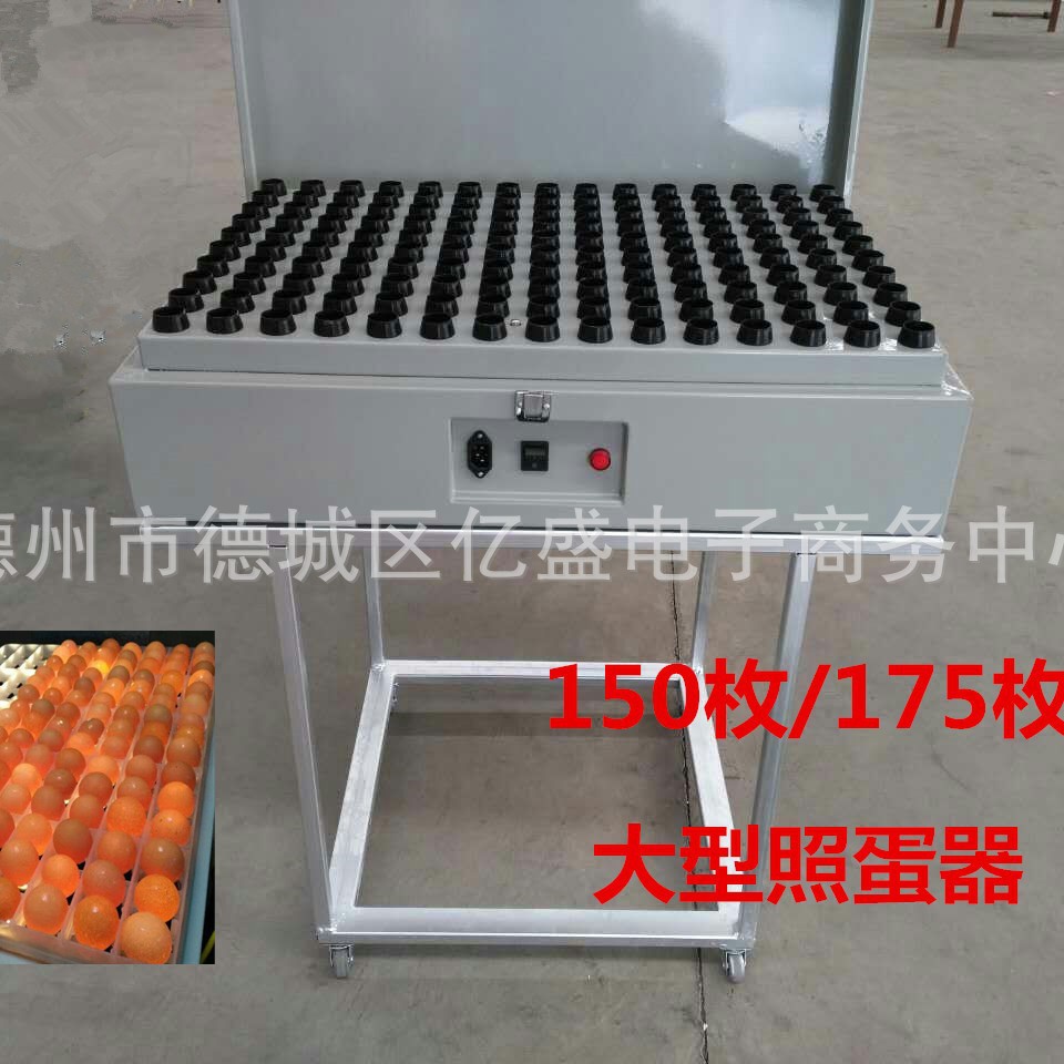 整盘照蛋器 大型孵化机照蛋机工业孵化照蛋工具150枚176枚照蛋灯