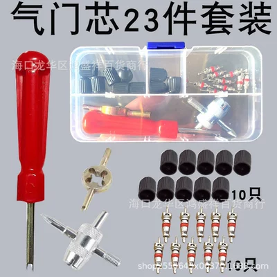 33Pcs Set of Car and Bicycle Valve Core Removal Work Kit Tire Repair Box Valve Repair Kit (valve) - 23pc-silver-valve-core-set