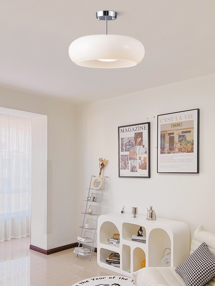Ceiling Light 1