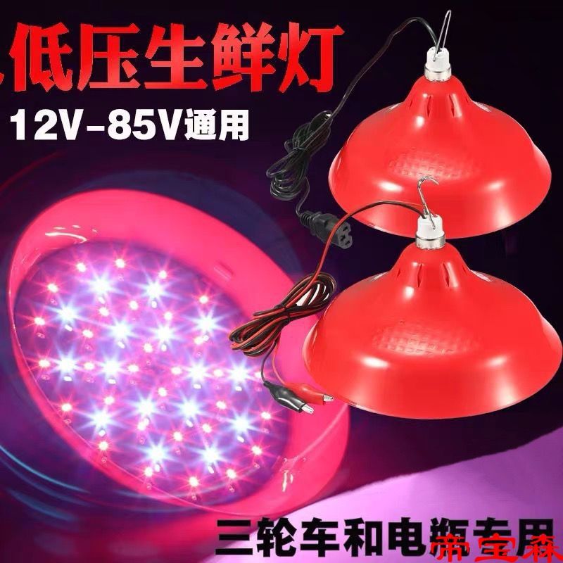 led低壓生鮮燈12V-85V電瓶三輪車專用水果燈豬肉燈熟食鹵菜燈變光