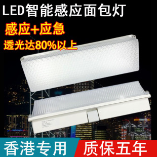 Hong Kong special LED bread lamp rectangular ceiling lamp induction corridor bulb outdoor lighting 15W20W30W