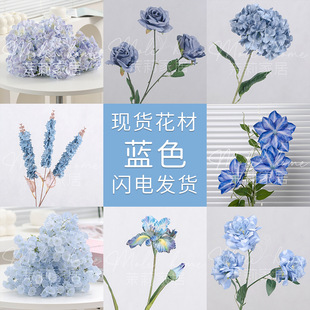 õ����������ĵ���ͮ�ĵ���F��ɏ�Sβ�w��ٻ����l���滨���l
