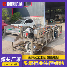 全自动果蔬清洗机 芒果圣女果气泡清洗机 喷淋式蓝莓气泡清洗机