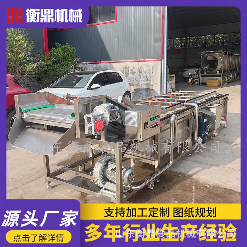 Automatic fruit and vegetable cleaning machine Mango cherry tomatoes bubble cleaning machine Spray blueberry bubble cleaning machine