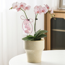 ���W�����մɸ��_ˇ�g���ú����m�m��С�������ÿ͏d�̨�Nֲ