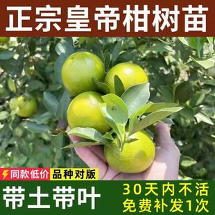 �V���ʵ۸̘���޽ӹ����Ϸ��Nֲ�cؕ��ˮ�����٘��玧�����~