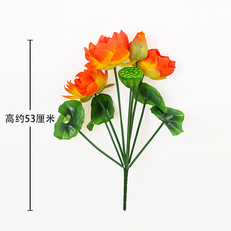 9 nĩa hoa sen lớn màu đỏ hoàng hôn
